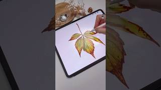 Details Drawing in Procreate - Digital Watercolor Autumn Leaf #shorts #procreate #drawing #watercolor #art Update