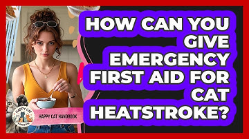 How Can You Give Emergency First Aid For Cat Heatstroke? - Happy Cat Handbook