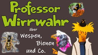 Professor Wirrwahr über Bienen und Wespen, auch Wollschweber, Schwebfliege, Holzbiene; für Kinder