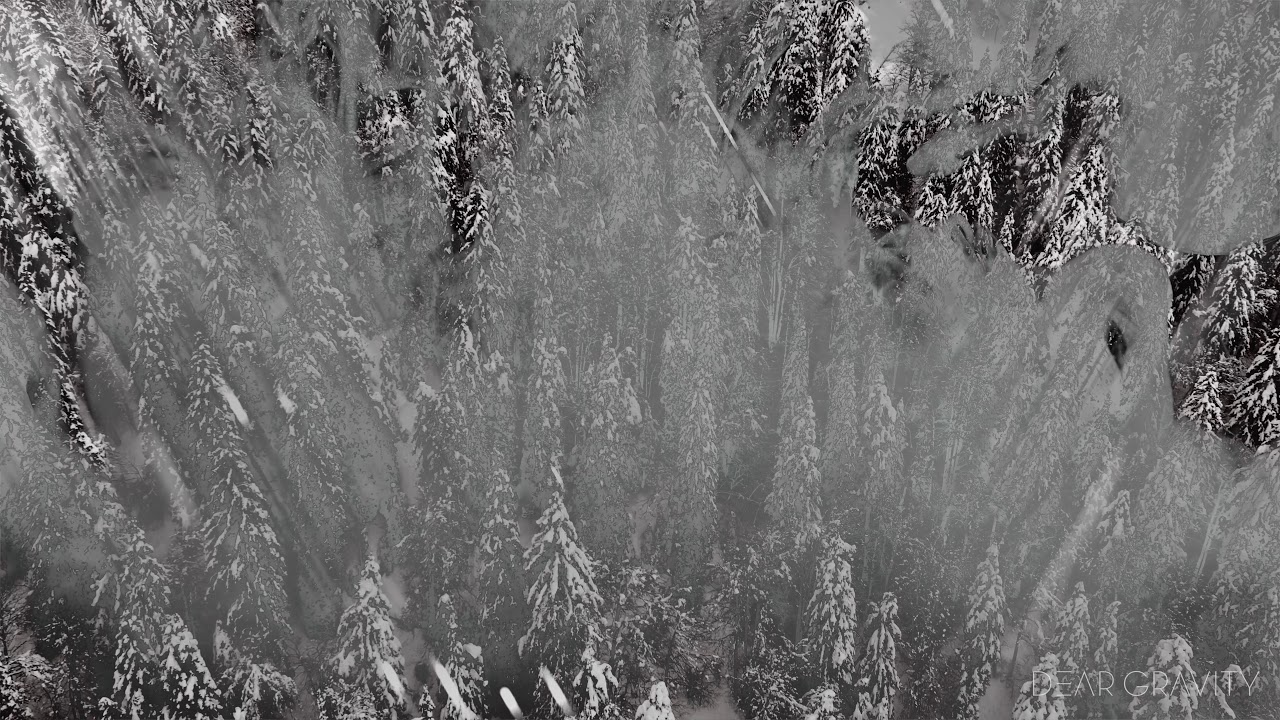 Dear Gravity ●● December (Official Video)