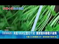 中國"僅退款"糾紛不斷! 台幣40元香菜引爆千里維權 ｜消失的國界