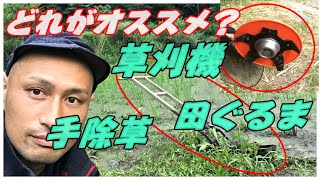 【田んぼ】草刈機を使った草刈りはうまくいかず、昔の道具を取り出してきた!!田舎に移住して田んぼをしたい自然農や自然栽培を考えている人必見の現実作業!!#稲屋の田舎チャンネル