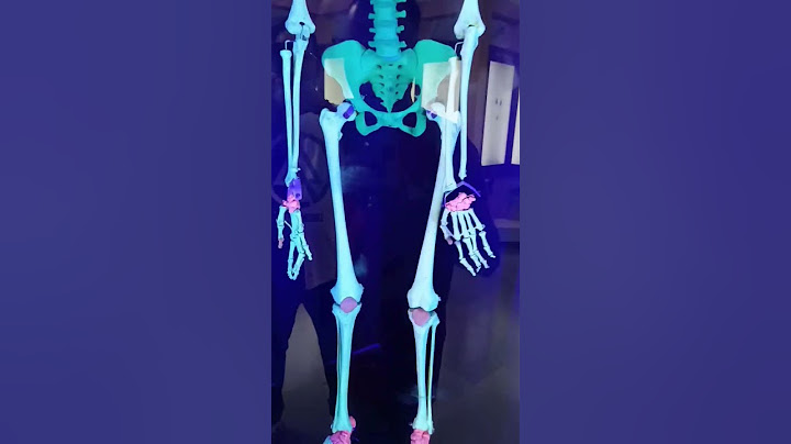Short Vlog of National Science Museum -Part 3#vlog#insta#instagram#Best#viral #challenge #science