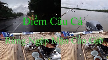 Chia Sẻ Điểm Câu Cá Rừng Ngập Mặn Cần Giờ