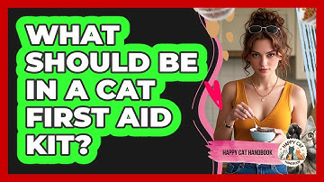 What Should Be In A Cat First Aid Kit? - Happy Cat Handbook