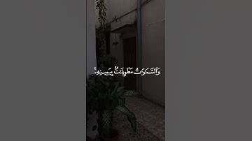 تلاوه من سوره الزمر|بصوت القارئ إدريس أبكر🎧❤️#trending #quran #قران_كريم #راحة_نفسية #قرآن
