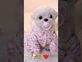 My baby 🥰 #heartbreakmusic #sadlovesong #breakupsong #sadromanticsong