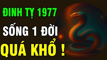 Tuổi Đinh Tỵ 1977, Cả Đời Gánh Khổ Nhưng Trời Không phụ lòng người, Hậu Vận chắc có Phúc dày.