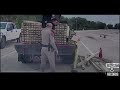 Texas Police Find Illegals Being Transported in Lumber Truck.