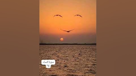 سورة النساء الجزء الخامس للشيخ سعد الغامدي Surat Al-Nisa, the fifth part, by Sheikh Saad Al-Ghamdi