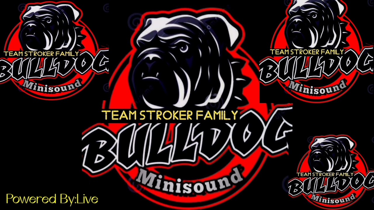 WHOS THAT GIRL 2K21 TEAM STROKER FAMILY BULLDOG MINISOUND