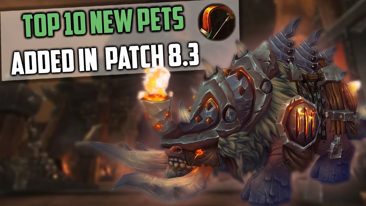 Top 10 New Hunter Pets Added in 8.3 WoW - YouTube