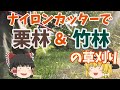 ナイロンカッターで栗林と竹林の下草を蹴散らす ~今日も仕事だぜ~