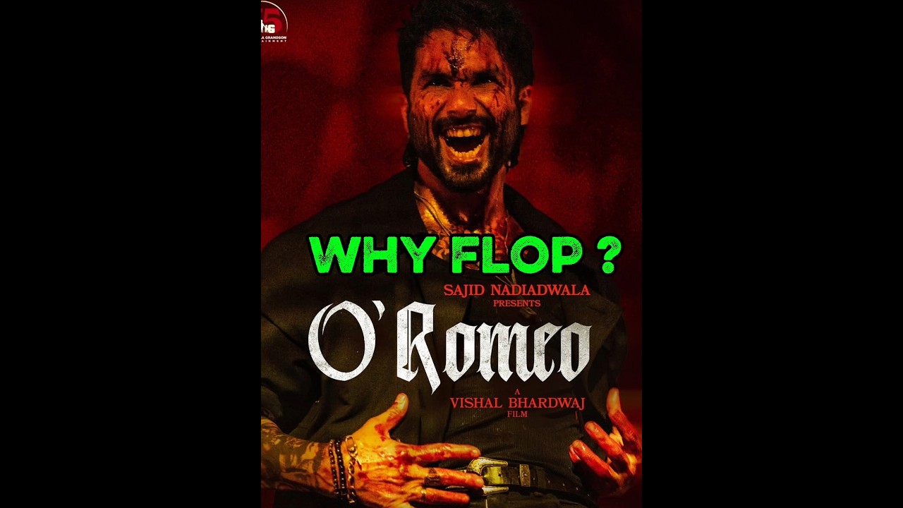 O Romeo Day 2nd Collection #oromeo #shahidkapoor #triptidimri #shortsfeed #shortvideo #short #viral