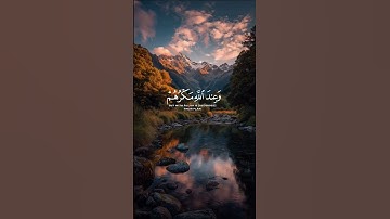 راحه نفسيه ❤️ #قرآن #المصحف #تلاوات #دويتو #تلاوة_خاشعة #لايك #قرآن_كريم #duet #تلاوة #قرآن