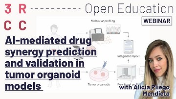 AI-mediated drug synergy prediction and validation in tumor organoid models by A. Pliego Mendieta