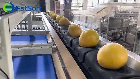 Pomelo Grapefruit Cantaloupe Coconut Cabbage Processing Line Weight Sorting Packaging Machine