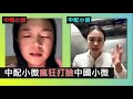 本週最有趣的喜劇段子 - 中配小微瘋狂打臉中國小微