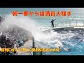 朝一番から超満員大騒ぎ、新曲？リバイバル？シャチパフォーマンス鴨川シーワールド「2021/10/11」（月）10:30～　１回目