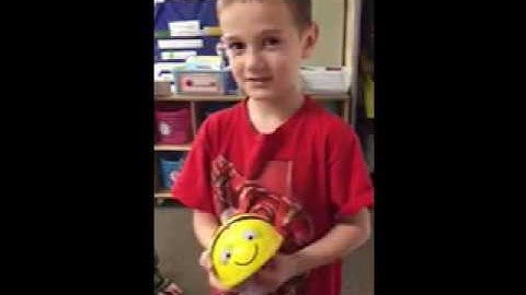 BeeBot & BlueBot video for presentation.