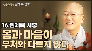 [#수불스님] 16.몸과 마음이 부처와 다르지 않다 | 임제록 선해-시중