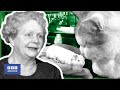 1974 mollys pet pub  nationwide  weird and wonderful  bbc archive