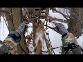 Закрытие охоты на куницу. в капканы попалась куница и белка (Будни охотника и рыбака)