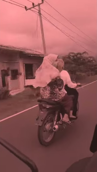 Bad Liar Angklung · DJ Breakbeats | Ladies Biker | Untukmu videostory | Dendi JSR