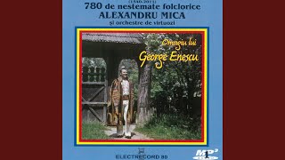 Video thumbnail of "Alexandru Mica - Ce bine trăiam flăcău"