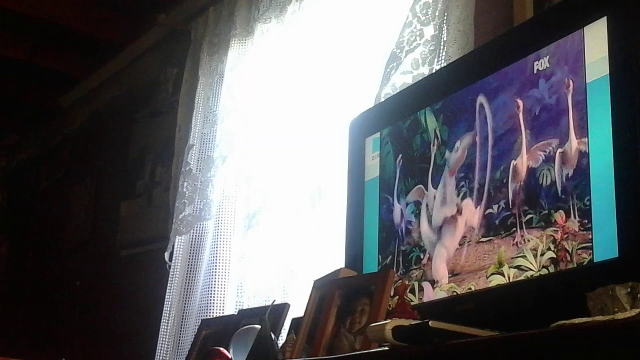 Rio 2 Batucada Familla Version Corta - YouTube