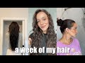 a week in the life of my hair 😅