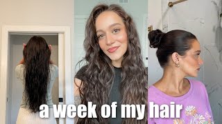 a week in the life of my hair 😅