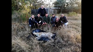 WE SafariLive- Pictures from Hyena Swazi&#39;s rescue