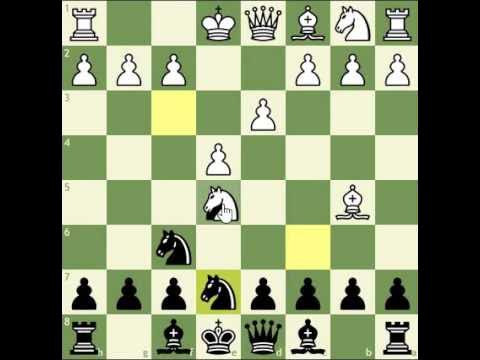 GM tutorial: learn to play the Ruy Lopez