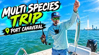 🔥🎣Port Canaveral Surf Fishing! Spanish Mackerel, Snook, Tarpon & MORE! | Florida Fishing