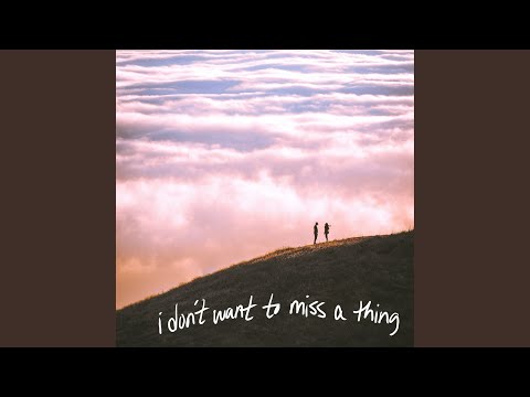 Karis - I Don't Want to Miss a Thing tonuri de apel