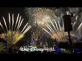 Walt disney world cast service celebration  special fireworks presentation january 29 2024