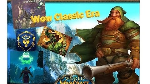WoW Classic Era Vanilla 60 Dwarf Paladin Leveling
