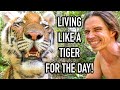 Living Like A Tiger For The Day! | Myrtle Beach Safari
