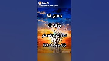 سورة عبس الجزء الثالث #عبدالرحمن_الضوي