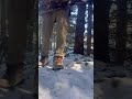 The hard part about logging no one sees #firewood #logging #bluecollar