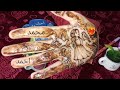 برج العقرب عاجل وهام بيان رسمي من جهه حكوميه أقسم بالله اقوي قراءه علي اليوتيوب استعد حصد الاموال