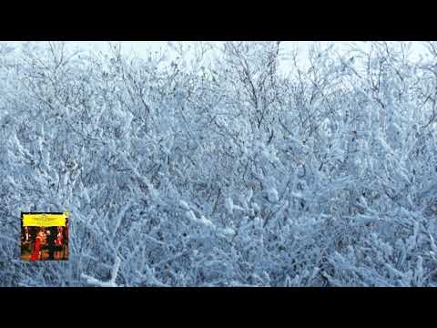 Tchaikovsky : Concerto for Violin and Orchestra in D major, op.35