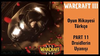 Warcraft III Oyun Hikayesi - Part 11 : Druidlerin Uyanışı (Türkçe Altyazılı)
