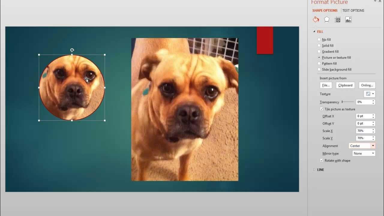 Use Pictures to Fill Shapes in PowerPoint 2013 - YouTube
