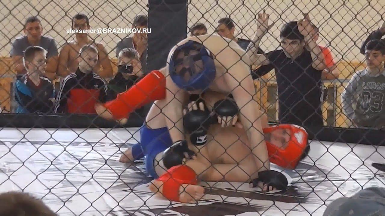 ������ �������� ���� ��������: ����.