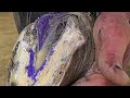 Finding deep abcess poor horse was in pain  finding infection hiding in horse hoof so much relief