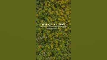آيات بينات من الذكر الحكيم بصوت جميل ومأثر ❤ #اكسبلور #المغرب #duet
