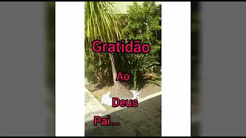 Sou grato a Deus por tudo frases?