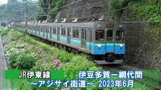 【JR伊東線】伊豆多賀ー網代間～アジサイ街道～　2023年6月　撮影